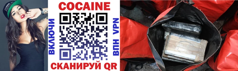 купить закладку  Шагонар  Кокаин 98% 