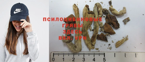 винт Белоозёрский
